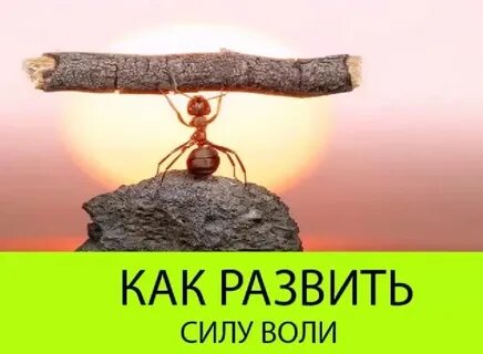 Как сделать волю