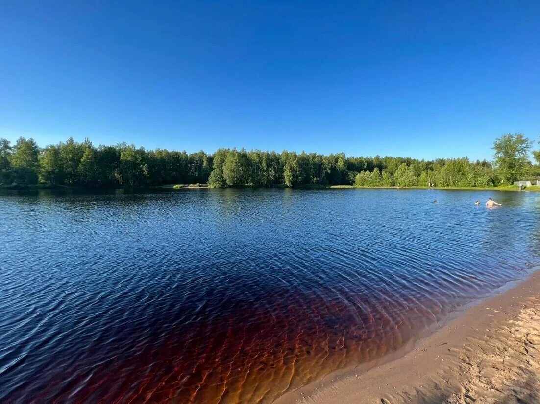 Три сосны Северодвинск озеро. Озеро Бутыгино в Архангельске. СНТ три сосны Северодвинск. Кородское озеро.