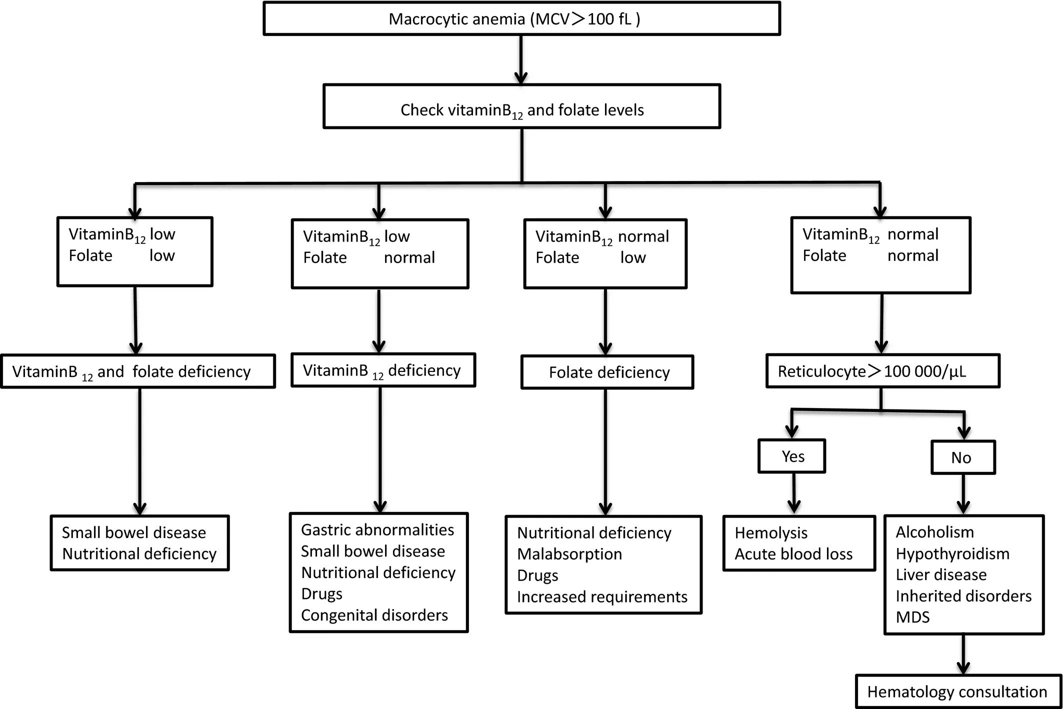 Тесты анемия у детей. Anemia classification. Macrocytic anaemia. MCV при анемиях. B12 дефицитная анемия.