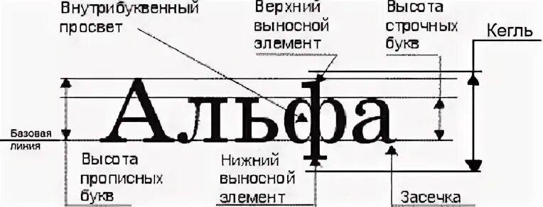 New roman засечки
