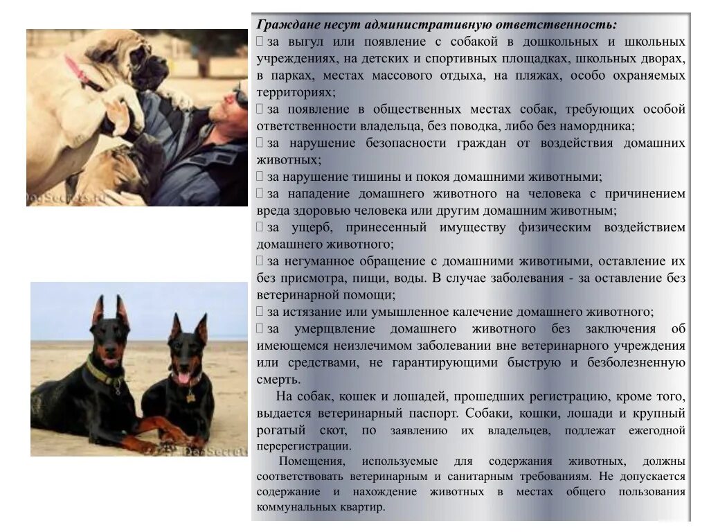 Закон по содержанию собак в частном. Содержание домашних животных. требования к содержанию домашних животных. нарушение правил содержания домашних животных. ответственность за домашнее животное.