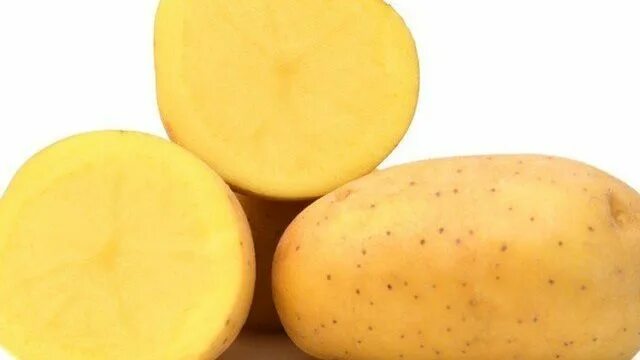 Картофель триумф отзывы. Сорт картофеля Триумф. Семена картофеля Триумф. Сорт картофеля Триумф характеристика.