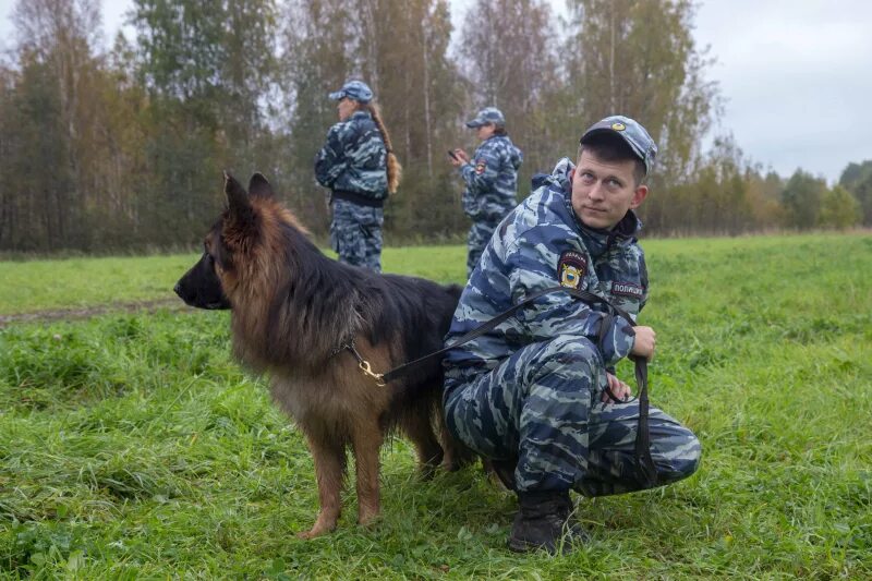 Кинолог после какого класса. Кинолог с бельгийской овчаркой. вологда кинология. кинологи вологда. мвд кинологи вологда.