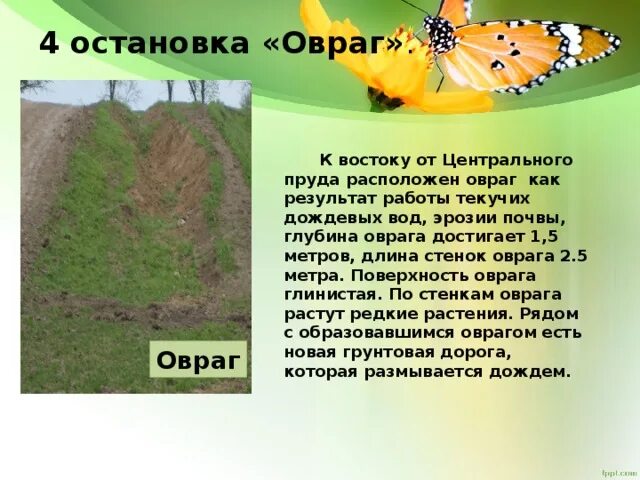 Что нужно делать чтобы овраг не увеличивался. Глубина оврага. как остановить рост оврага. как предотвратить образование оврагов. что делают люди чтобы остановить рост оврага.