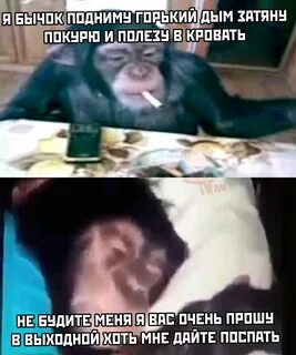 Дым затяну текст песни
