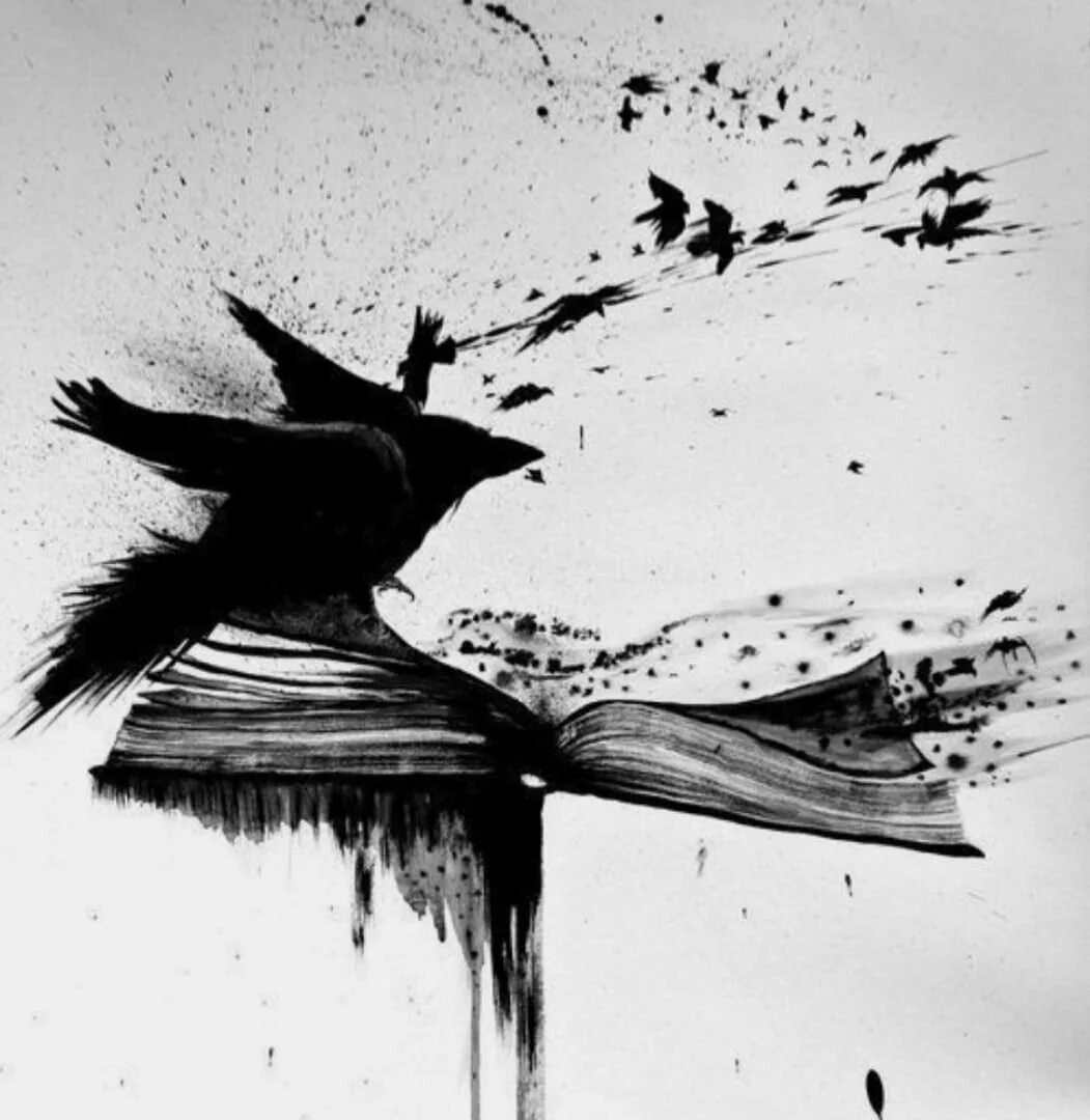 Разбитая птица. Ворон тату эскиз. Птица вылетает. Черно белые иллюстрации. Птица черно белая.