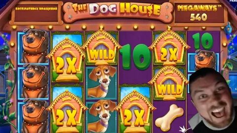 Slot dog house megaways 1win на деньги