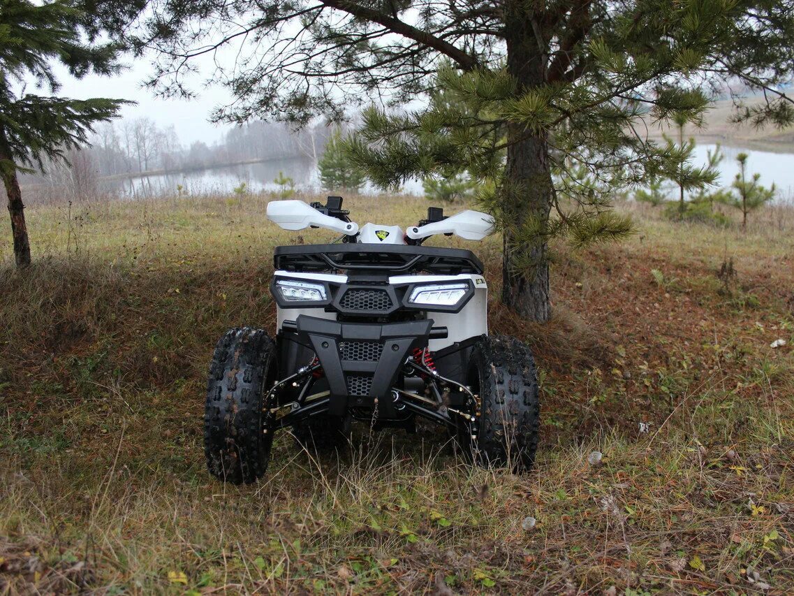 Motoland wild 125. Motoland atv 125 wild. Квадроцикл motoland atv 125 wild х. Wild 125. Квадроцикл мотолэнд вилд 125.