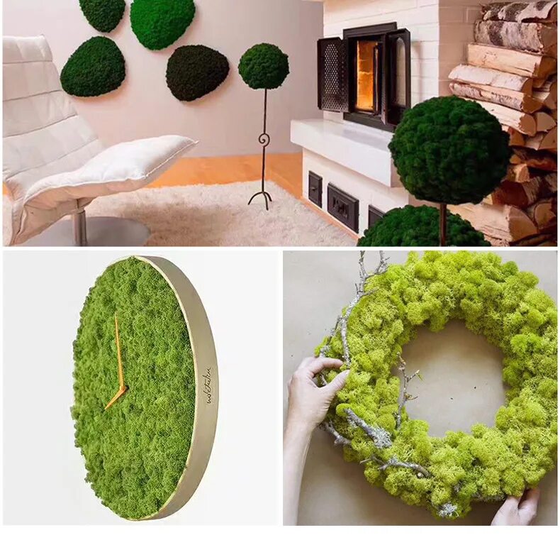 DSC_2655.JPG 1,600 × 1,054 pixels Moss letters, Holiday table inspiration, Boy l