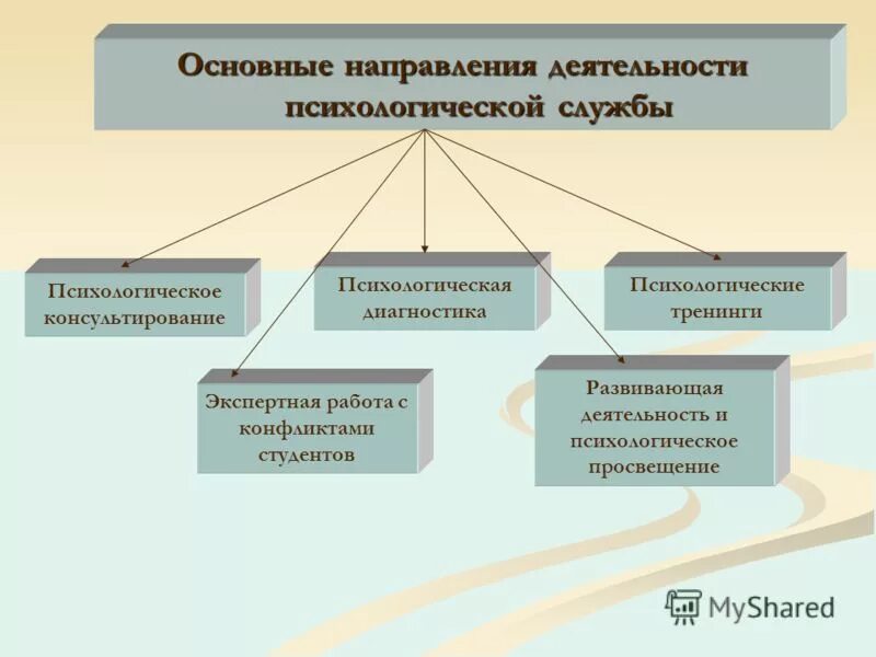 Направления деятельности социальных учреждений