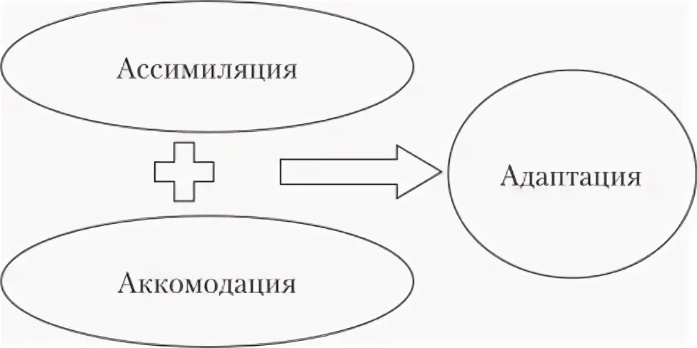 Ассимиляция и аккомодация. Ассимиляция по Пиаже. Аккомодация и ассимиляция Пиаже. Схема действия по Пиаже. Ассимиляция и аккомодация в психологии.