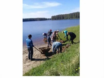 Погода в ракитино
