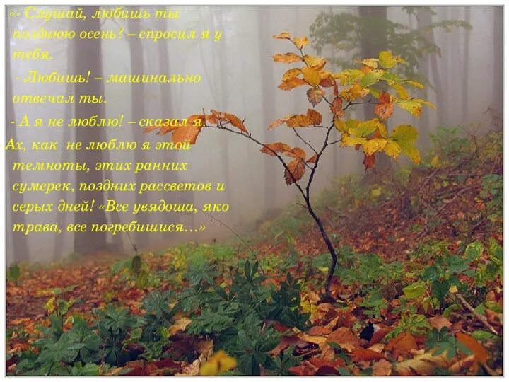Физминутка про осень для дошкольников. Осенняя песенка. Ноты песен про осень для детского сада. Стихи про осень. Песенки для детей средней группы осенью.