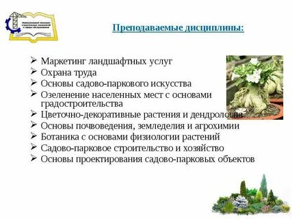 Преподаваемые дисциплины