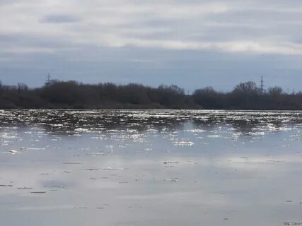 Вода в оке муром