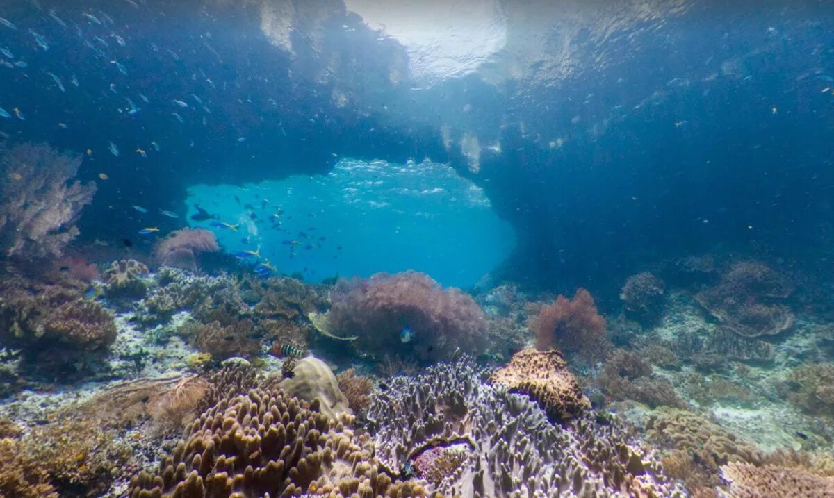 Дно океана. Дно моря. Дно Тихого океана. Океанское дно. Подводные части океана