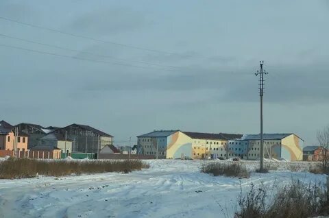 Патруши