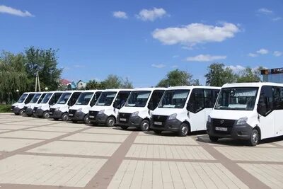 Автобус москва валуйки