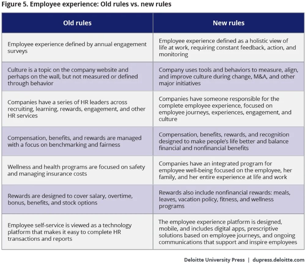 Experience is for the job. Employee experience. примеры employee. to have talent for или in. oldest правило.