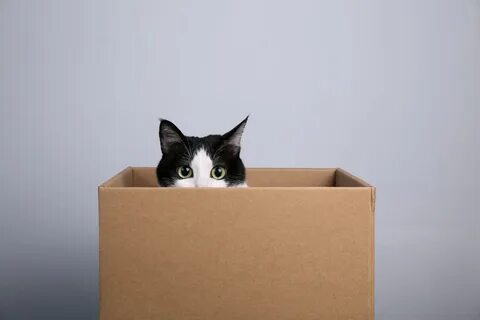 Коробка сат