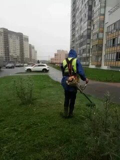 Жкс 1 невского