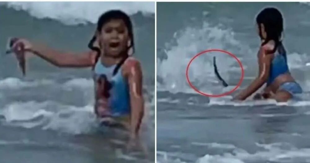 Девочка акула. Акула девушка спасается.