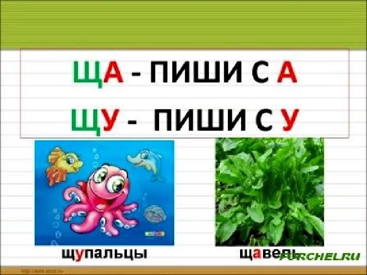 Информация щ