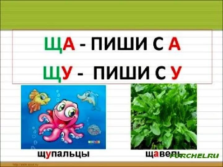 Звук и буква щ. Буква щ презентация. Звук щ презентация. Звук и буква щ презентация. Звук щ буква щ презентация