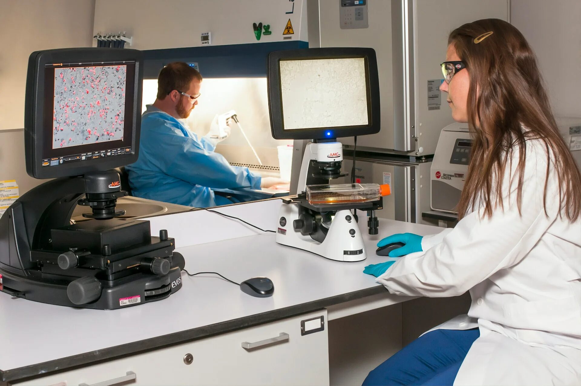 T laboratory