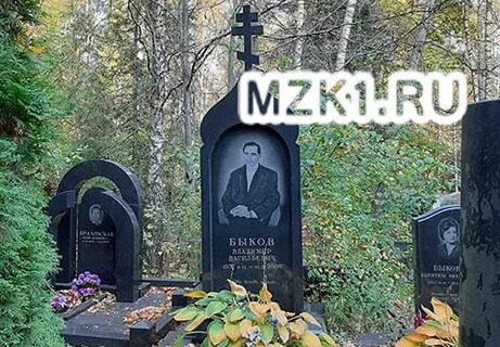 Савоська
