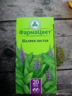 Как пить шалфей