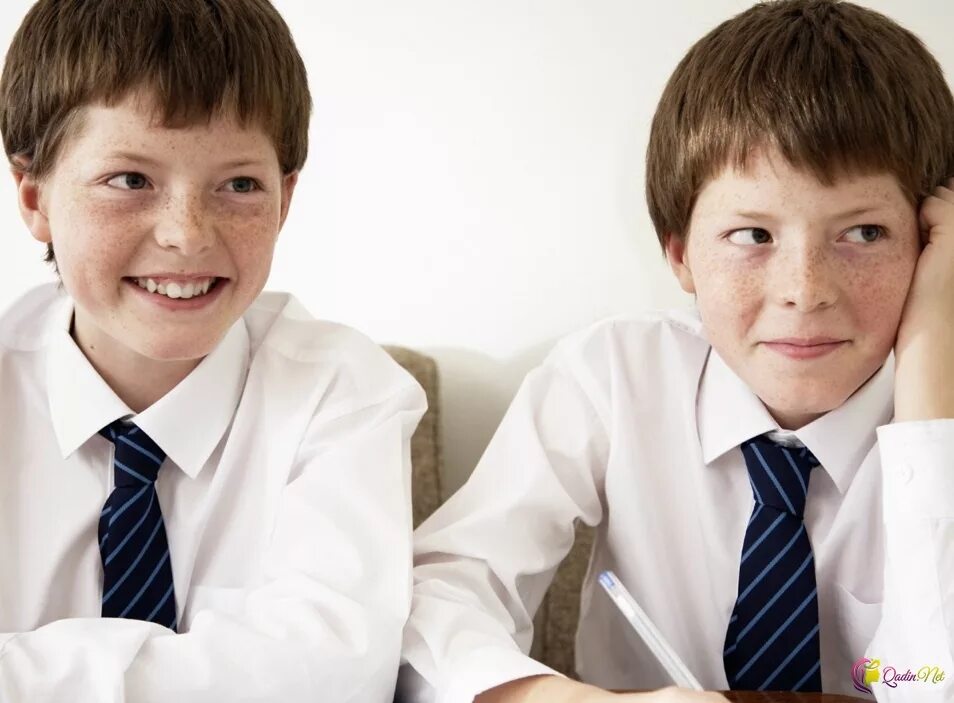 урок английского языка. Why do the children. Why do the children. внимание дети. картинка спор двух мальчиков.