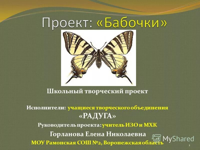 Презентация для рисования бабочек. Разноцветные бабочки. Бабочки для школы. Жизнь бабочек и жуков 2 класс. Узор.