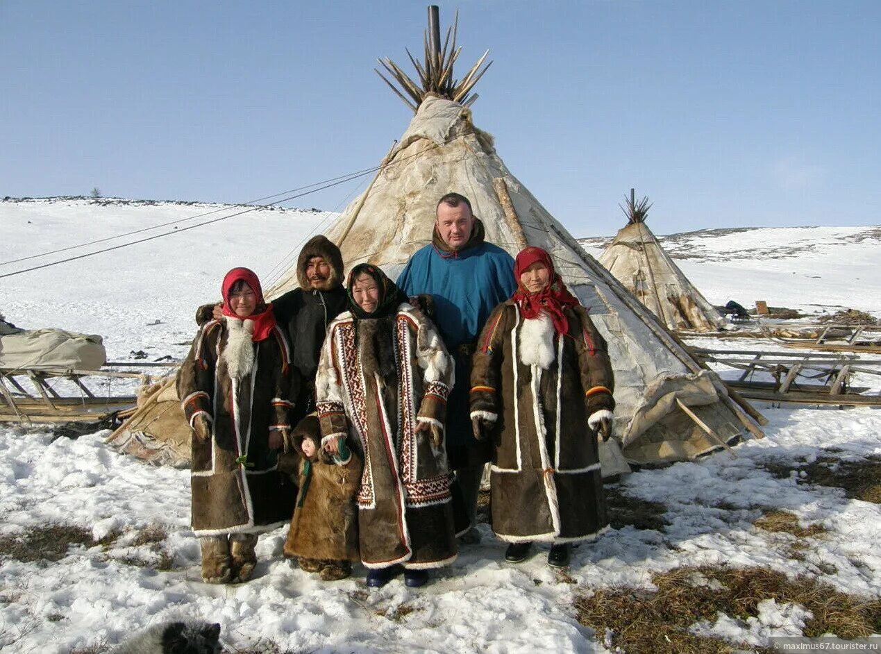 Чем в основном занимаются коренные жители севера