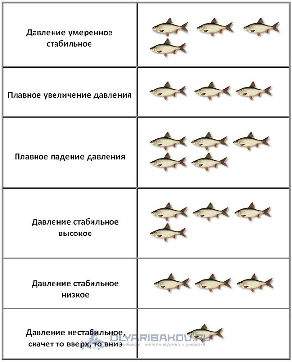 Какое давление для рыбы нормальное. Таблица клева рыбы зимой. Влияние давления на клев. Давление для рыбалки. Какое давление для ловли щуки.
