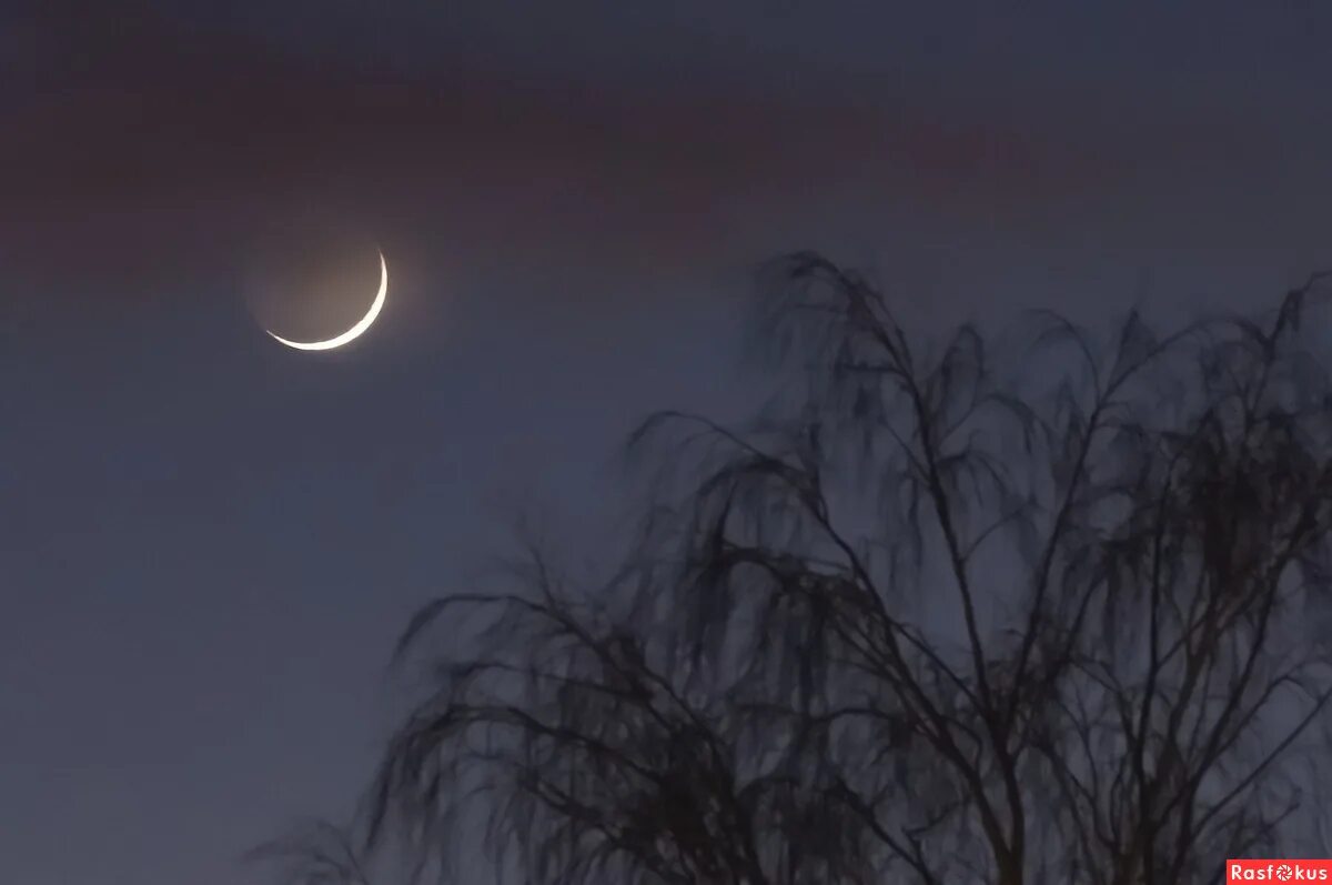 новый месяц вышел. лунное небо. вышел месяц. вышел месяц. новый месяц вышел.