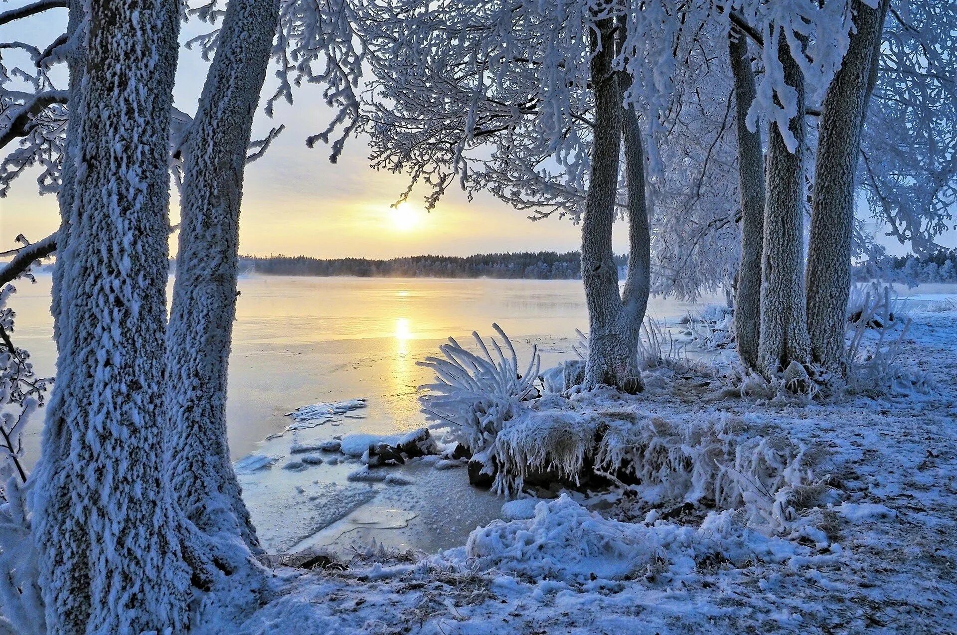 Снежное утро красивые. Чудское озеро зима. Зимний пейзаж. Зимняя природа. Красивая зима.