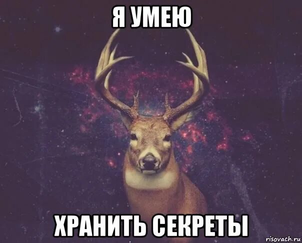 My like be like uuu aaa