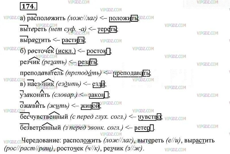 Русский 6 класс первая часть. Домашнее задание по русскому языку 6 класс упражнение 174. Русский язык 6 класс ладыженская номер 174. Гдз по русскому языку 6 класс ладыженская упражнение 174. Русский язык 6 класс ладыженская 1 часть упражнение 174.