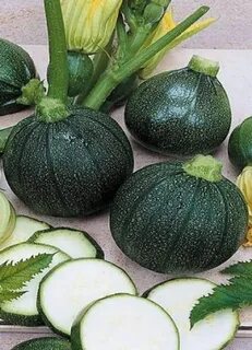Кабачок горшочек