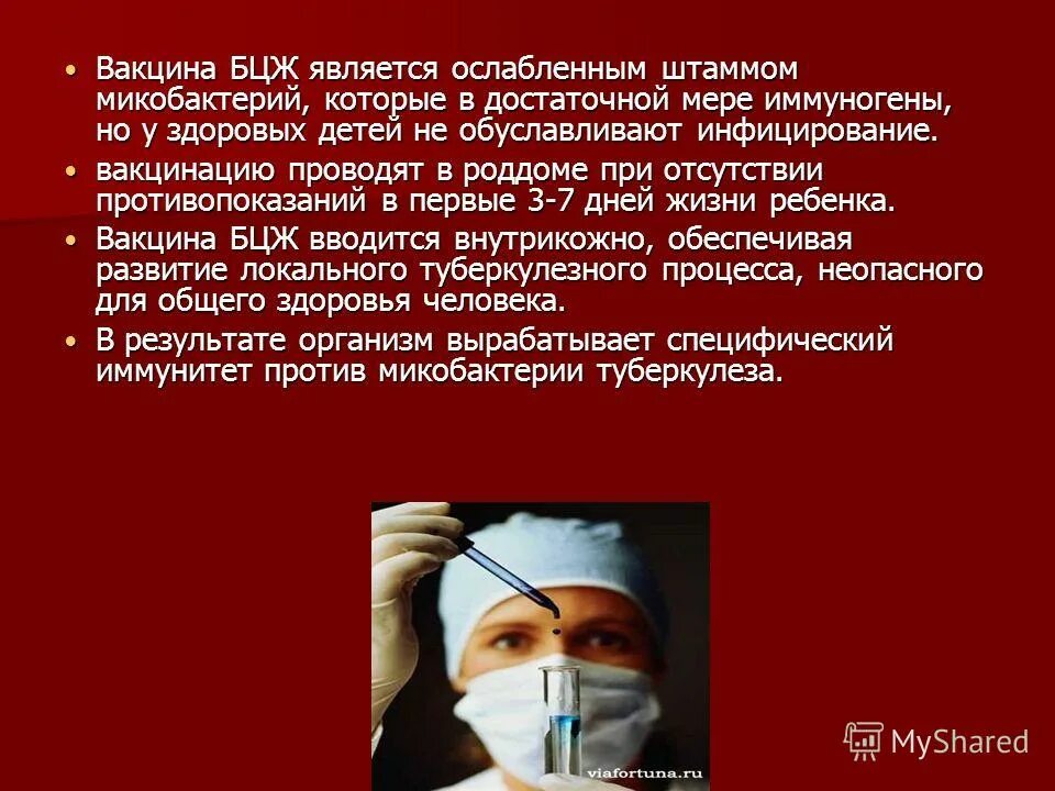 Вакцина бцж является