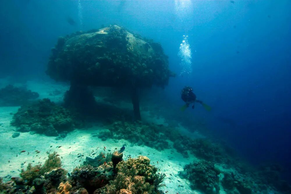 Дом на дне океана. Жак Ив Кусто под водой. Жак Ив Кусто подводный дом. Подводная деревня Кусто. Жак Ив Кусто подводный мир.