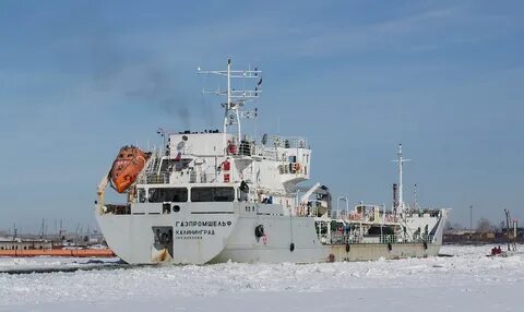 Газпром шельф проект мурманск