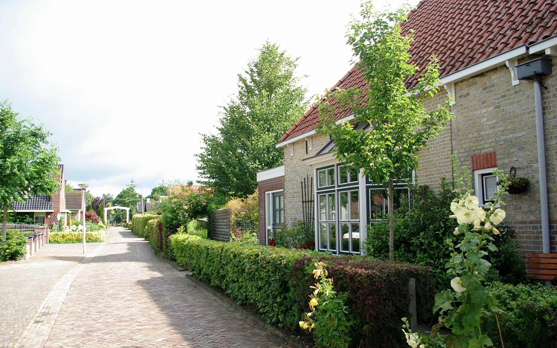Dutch homes. Бранд хаус стиль архитектуры. T me house to house нидерланды. Домик в голландском стиле. Домик в голландском стиле.