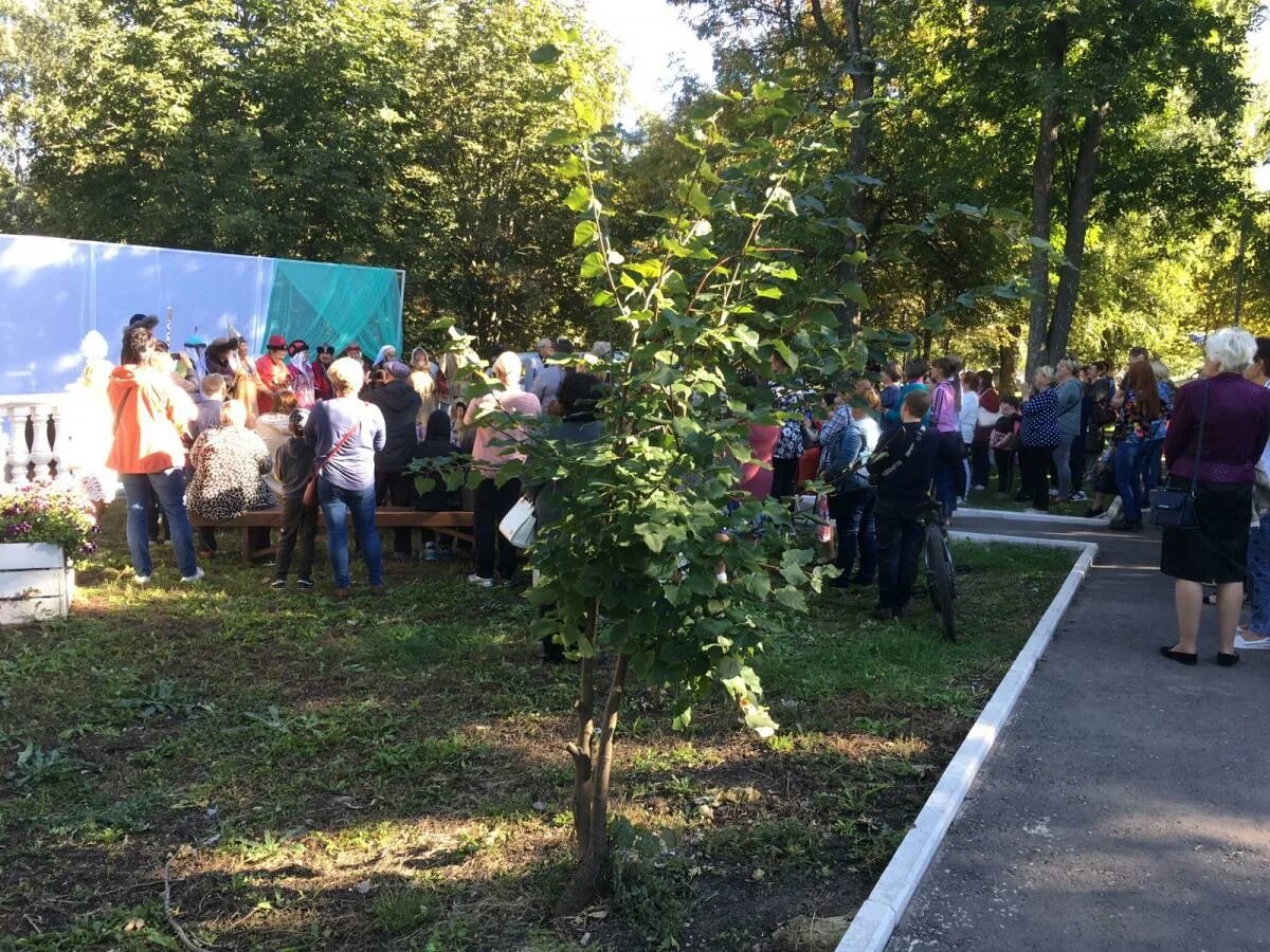Кис ртищево. Кис ртищево