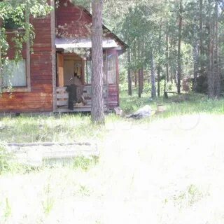 Дача геолог