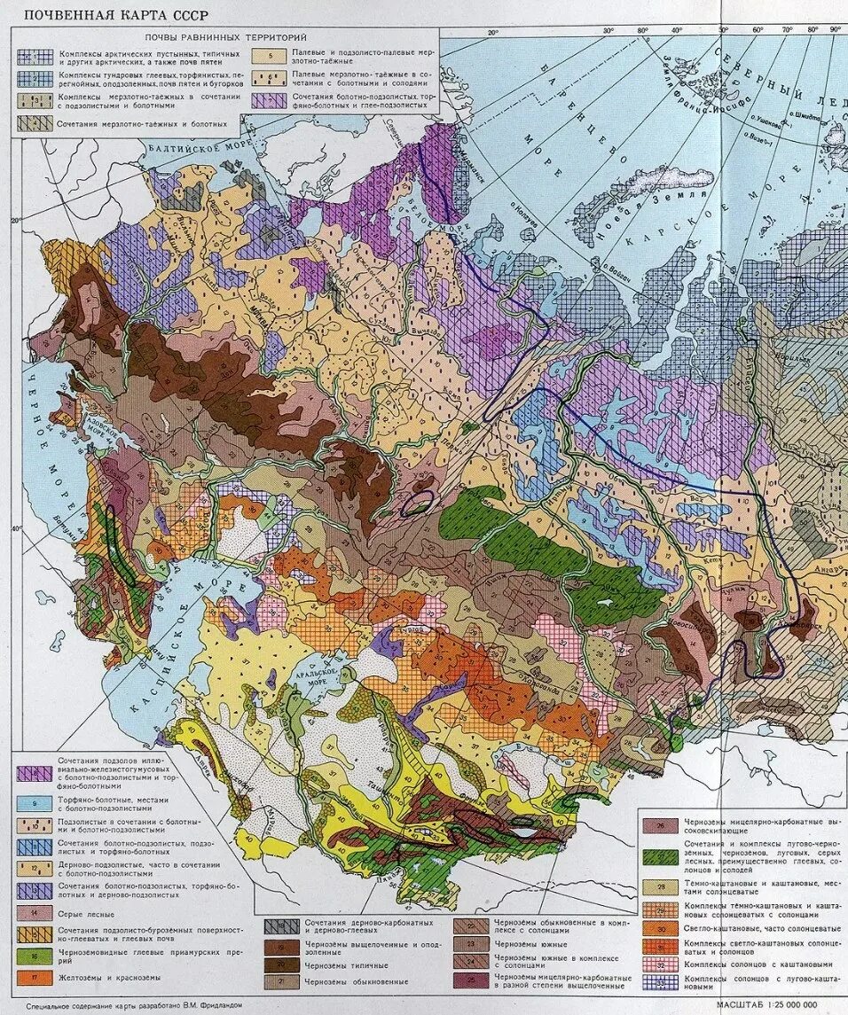 Почвенная карта школьного атласа дает. Карта почв Европы. Карта почв чернозема России. Карта черноземных почв европейской территории России. Черноземы почвы на карте.