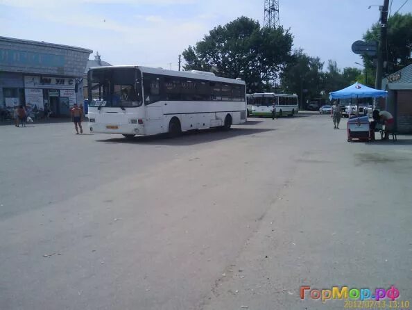 прогноз клева в городце нижегородской