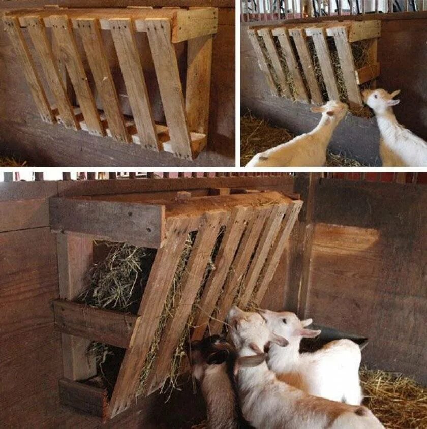 Кормушка для коз. Кормушка для коз под сено. Кормушки для козлят. Кормушка для коз. Кормушка для козлят.
