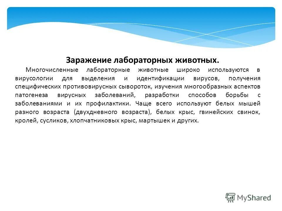 методы заражения животных. метод заражения лабораторных животных. цели заражения лабораторных животных. методы заражения животных. способы заражения лабораторных животных.